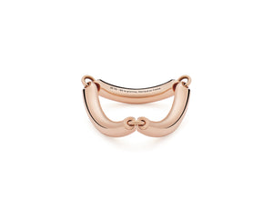 ring segment la 9g